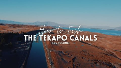 Fishing the Tekapo Canals