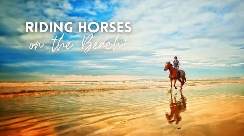 Riding Horses on the Beach in Christchurch