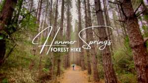 Hanmer Springs Forest Walk