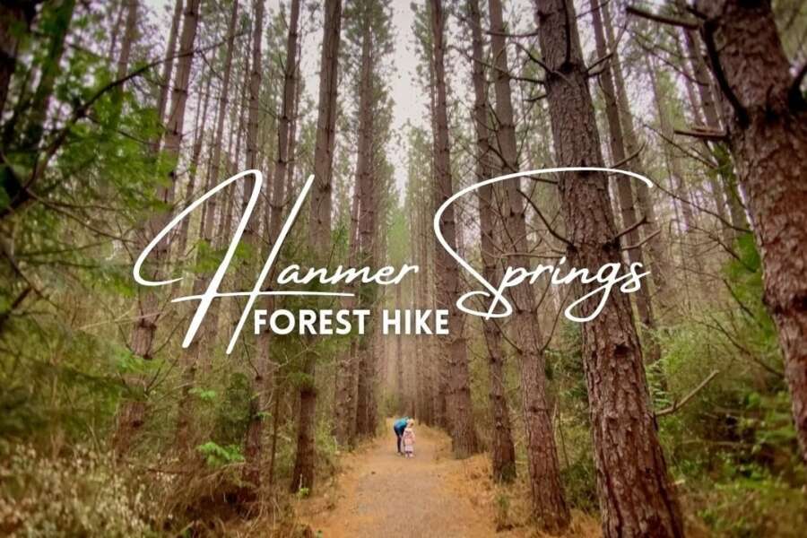 Hanmer Springs Forest Walk