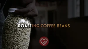 Learning to Roast Coffee Beans